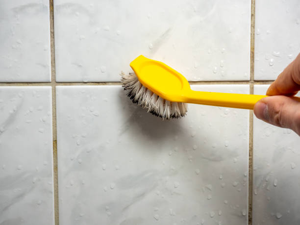 Office Mold Removal Services in Simpsonville, SC