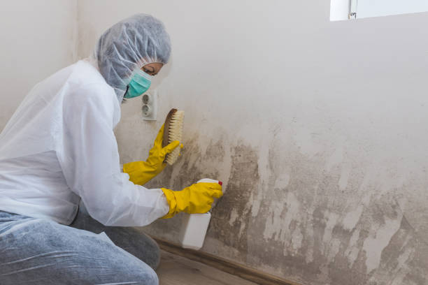 Best Local Mold Removal Service  in Simpsonville, SC