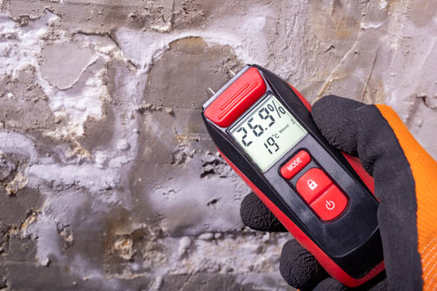 Best Emergency Mold Removal  in Simpsonville, SC