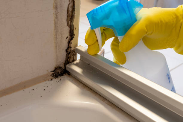 Best Mold Testing  in Simpsonville, SC