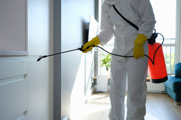 Home Mold Removal in Simpsonville, SC