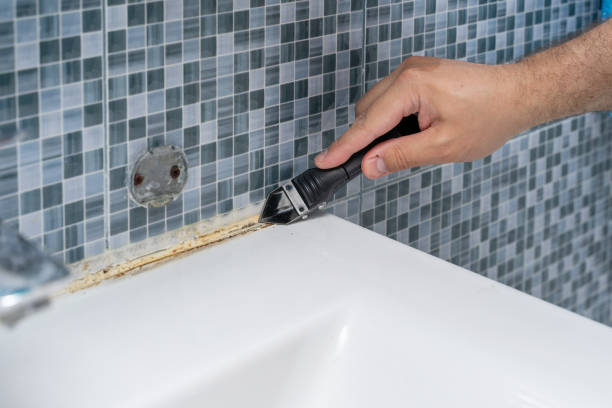 Best Mold Damage Repair  in Simpsonville, SC