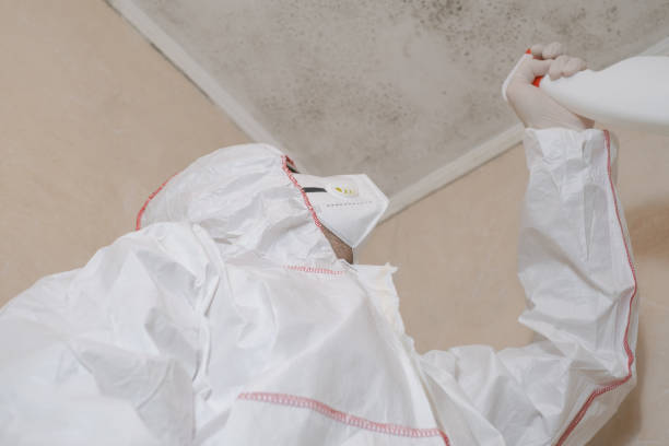 Best Toxic Mold Removal  in Simpsonville, SC