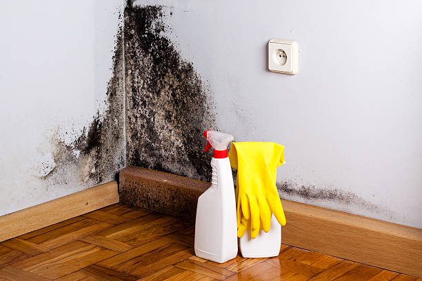 Best Attic Mold Removal  in Simpsonville, SC