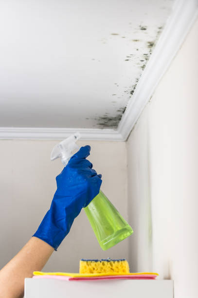 Best Residential Mold Removal  in Simpsonville, SC